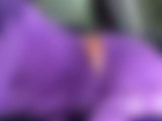 itstaylorofficial's Live Sex Cam Show