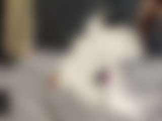 HannaEbony's Live Sex Cam Show