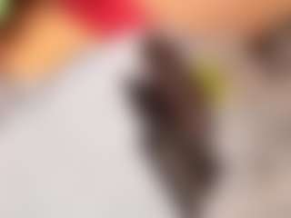Veronica's Live Sex Cam Show