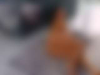 Theowonder's Live Sex Cam Show
