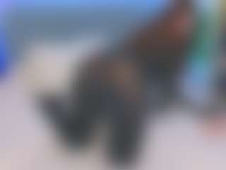 Live cam show with Kira - Leather on AdultVida.com