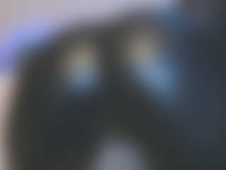 Live cam show with Kira - Ass Bouncing on xDating