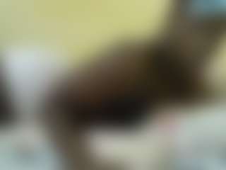 Live cam show with Sella-bella - Ebony on iamadamtest123.com | kenya