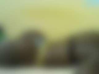 Live cam show with Sella-bella - Armpits on live18s.com