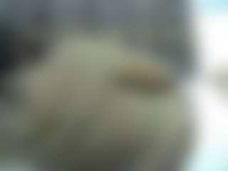 Live cam show with Sella-bella - Ebony on Cam Slut | kenya