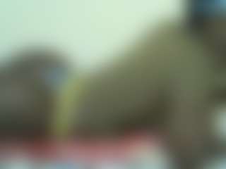 Live cam show with Sella-bella - Ass Clapping on fapnchat