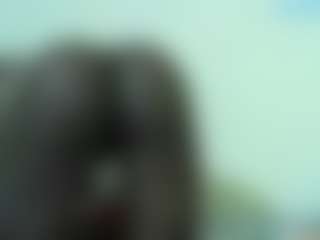 Sella-bella's Live Sex Cam Show