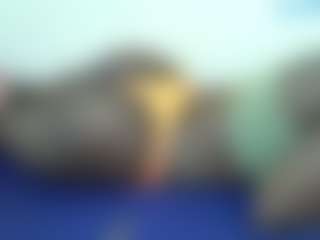 Live cam show with Sella-bella - Ebony on Camsoda | kenya