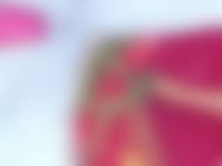 Live cam show with Camilastar-89 - Brown Eyes on SinfulBabes