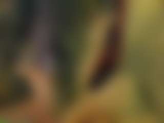 Nikkiprincess's Live Sex Cam Show