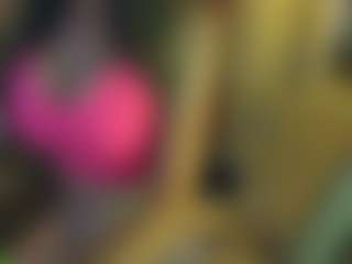 Nikkiprincess's Live Sex Cam Show