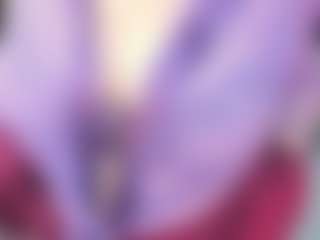 Live cam show with JillMild - Bedroom Mature on Milf Play