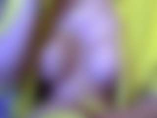 pamelapretty's Live Sex Cam Show