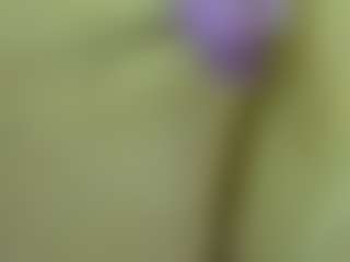 pamelapretty's Live Sex Cam Show