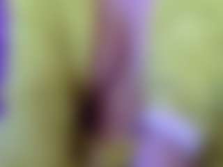pamelapretty's Live Sex Cam Show