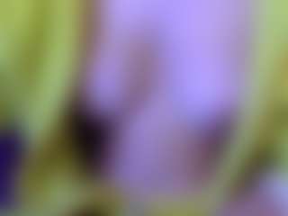 pamelapretty's Live Sex Cam Show