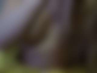 Live cam show with pamelapretty - Young Adult on StripNow