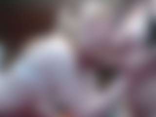 Live cam show with HollyWhites - Ass To Mouth on CamClone
