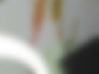 Live cam show with Dianamilf - Normal on Fling VIP Chat