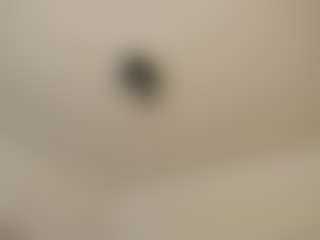 Live cam show with Ramona - Bedroom Big Tits on eurowanks.com
