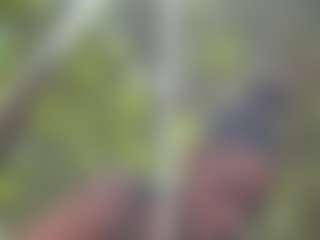 BellaSky's Live Sex Cam Show