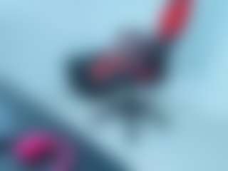 ambar-rose1's Live Sex Cam Show