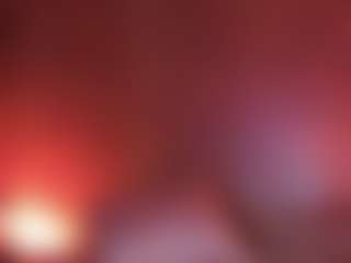 Apartment 28's Live Sex Cam Show