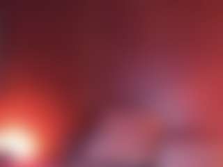 Apartment 28's Live Sex Cam Show