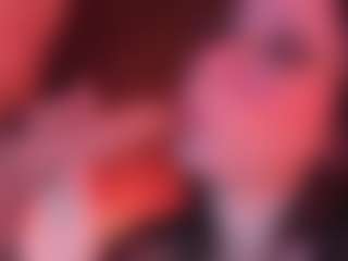 Apartment 28's Live Sex Cam Show