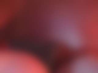 Apartment 28's Live Sex Cam Show