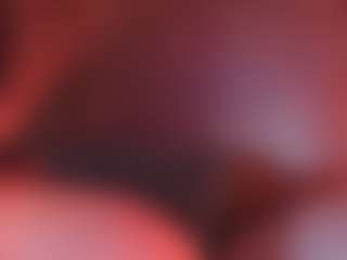 Show Live Sex Cam Apartment 28