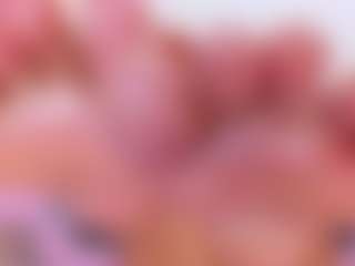 Heidy Wills's Live Sex Cam Show