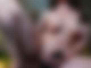 IngAiden's Live Sex Cam Show