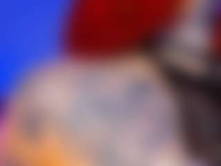 SaintSinner's Live Sex Cam Show