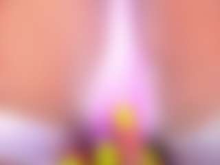 Oxlemon's Live Sex Cam Show