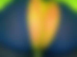 Oxlemon's Live Sex Cam Show