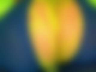 Oxlemon's Live Sex Cam Show