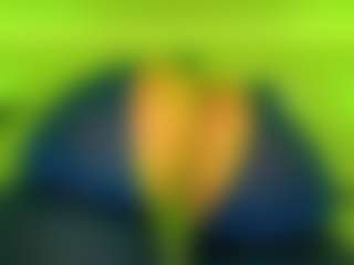 Oxlemon's Live Sex Cam Show