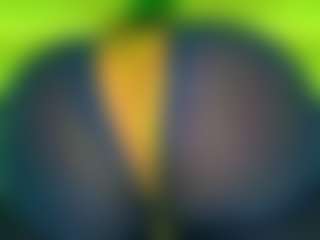 Oxlemon's Live Sex Cam Show