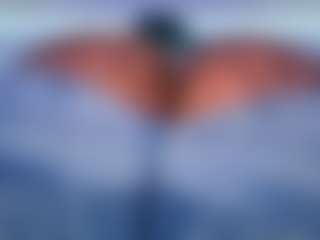 Oxlemon's Live Sex Cam Show