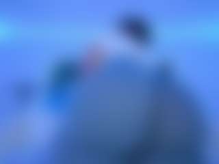 Show de cam en vivo con Oxlemon - BBW White en Camsoda | united states