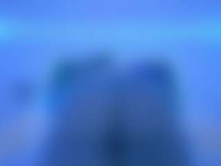 Oxlemon's Live Sex Cam Show