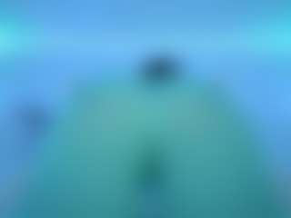 Oxlemon's Live Sex Cam Show