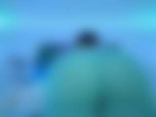 Oxlemon's Live Sex Cam Show