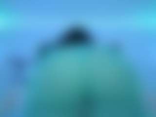 Oxlemon's Live Sex Cam Show