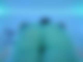 Oxlemon's Live Sex Cam Show