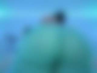 Oxlemon's Live Sex Cam Show
