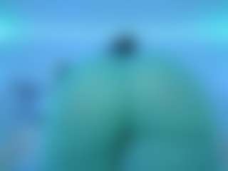 Oxlemon's Live Sex Cam Show