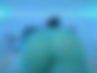 Oxlemon's Live Sex Cam Show