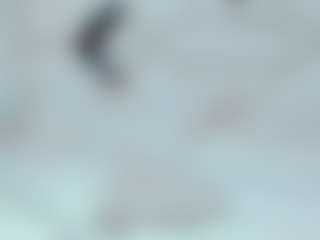 Stormy Butty's Live Sex Cam Show